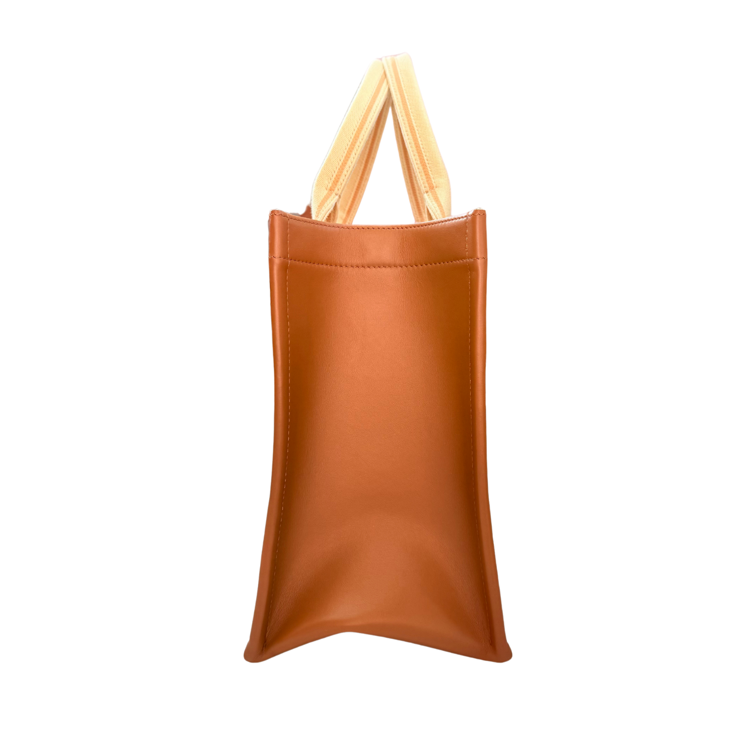 Christian Dior Medium Dior Book Tote Beige
