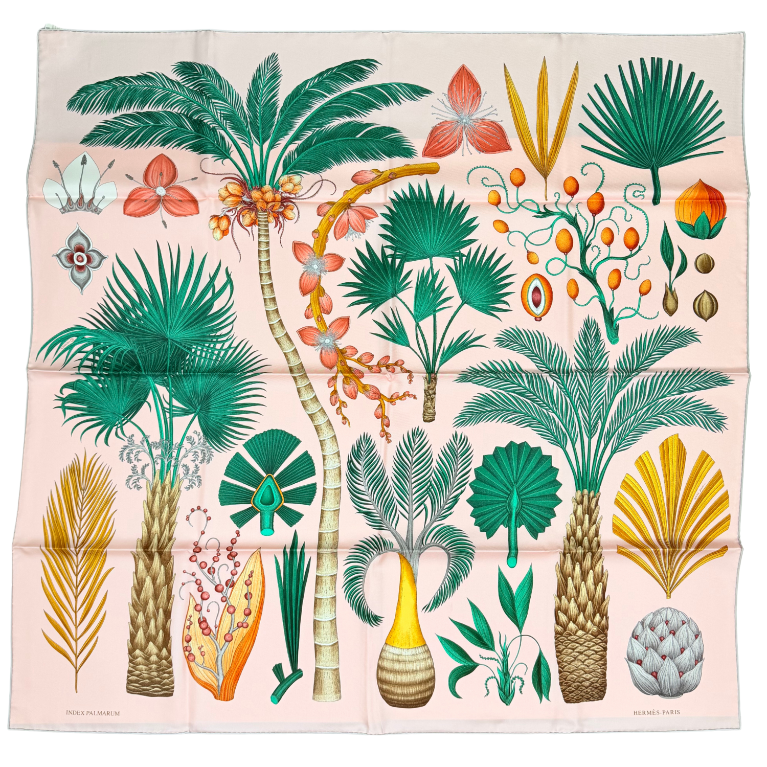 Hermès Index Palmarum Silk Scarf
