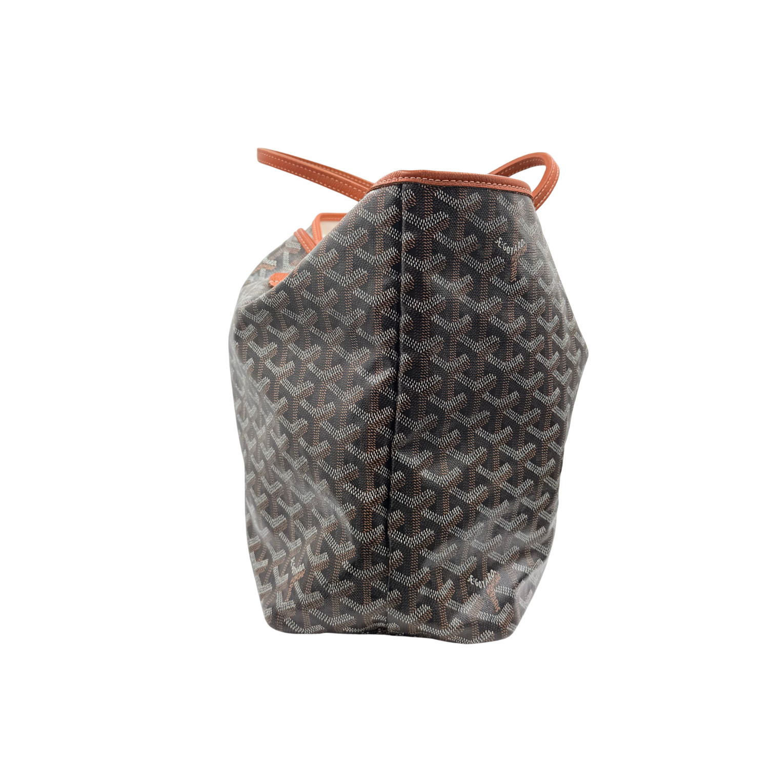 Goyard Goyardine Saint Louis PM Black & Gold