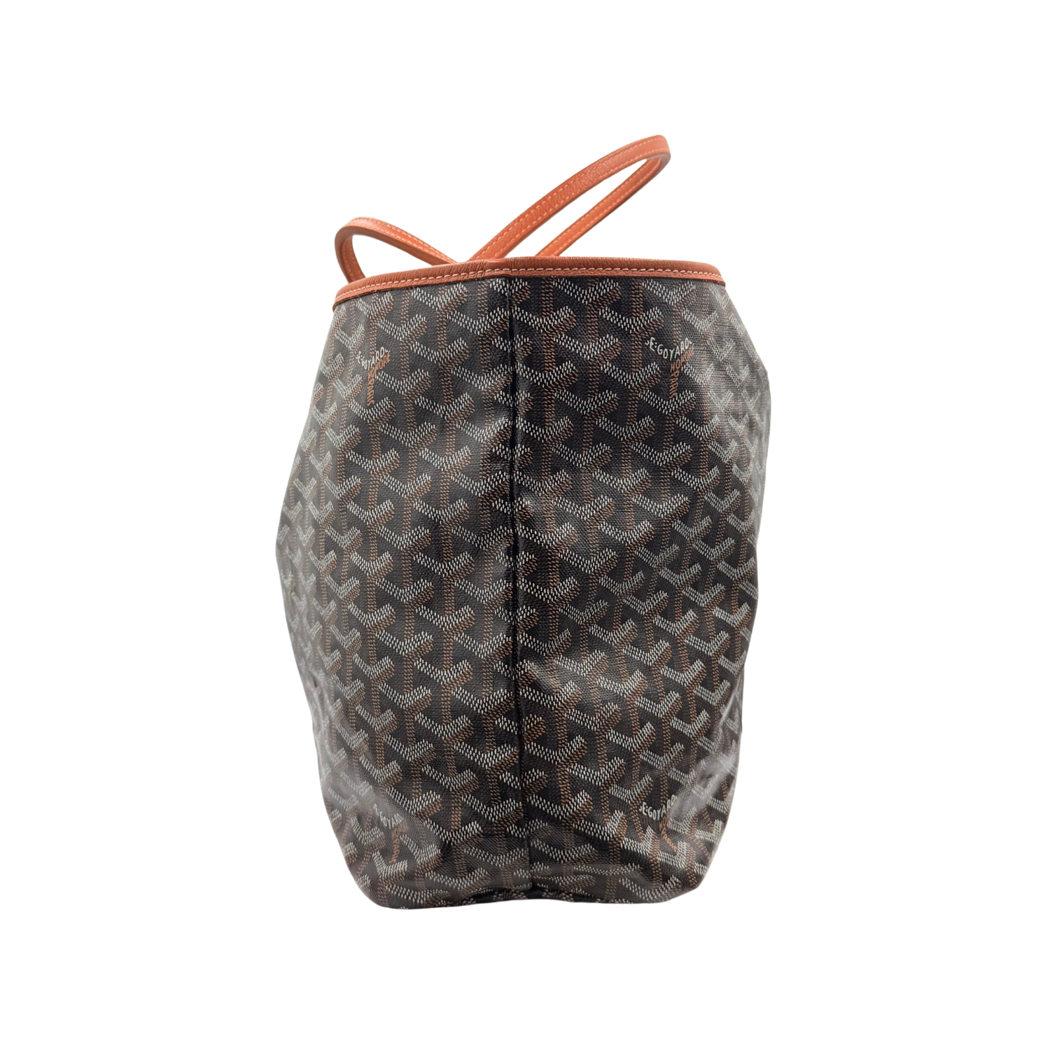 Goyard Goyardine Saint Louis PM Black & Gold