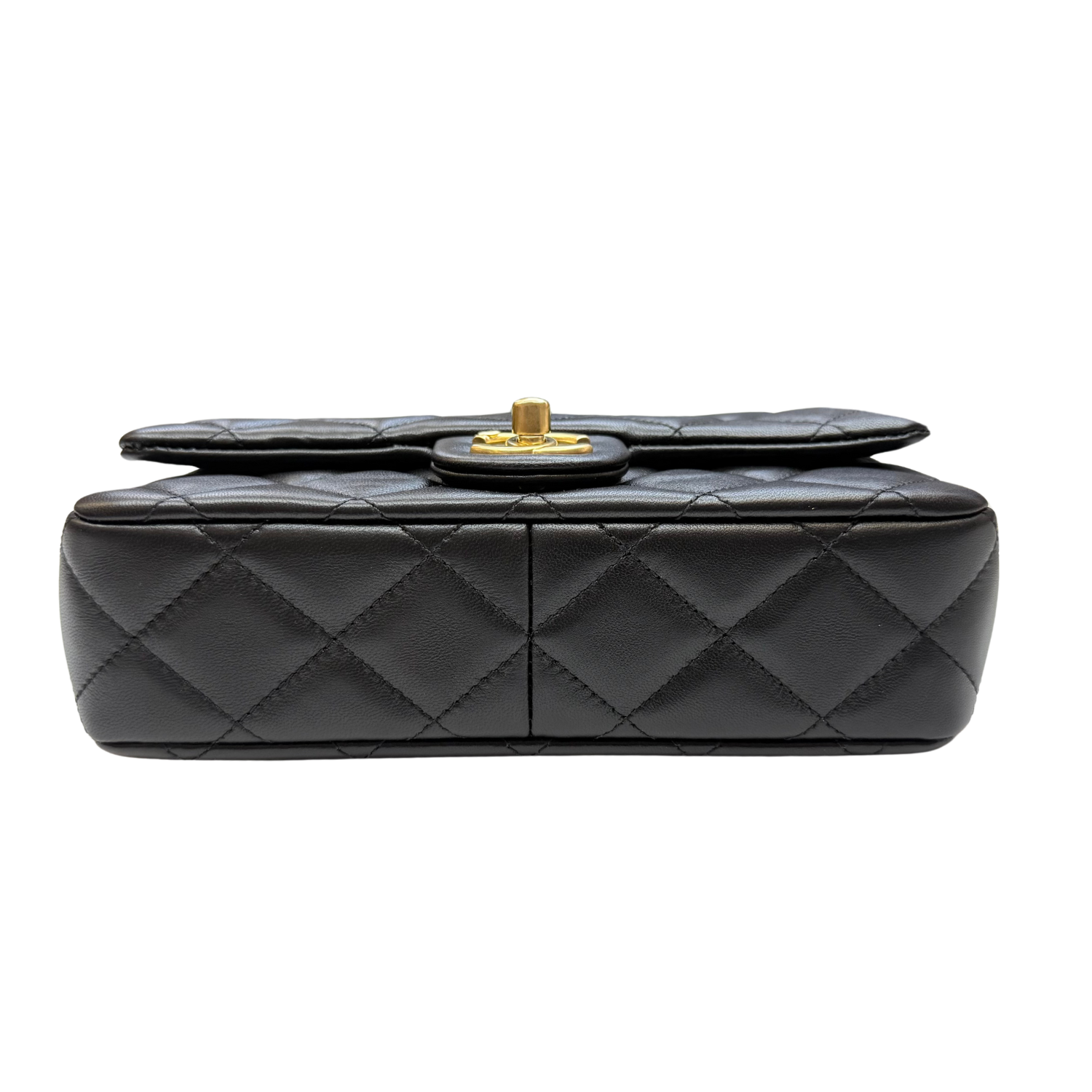Chanel Metiers D'Art Wood Handle Flap Bag Black