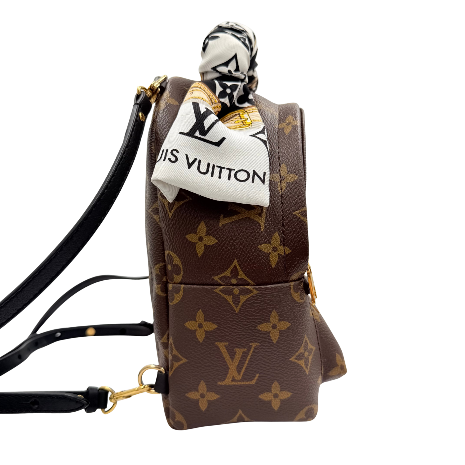 Louis Vuitton LV Monogram Palm Springs Mini with Bandeau Brown