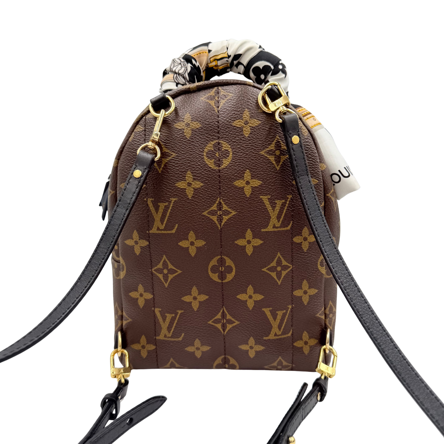 Louis Vuitton LV Monogram Palm Springs Mini with Bandeau Brown