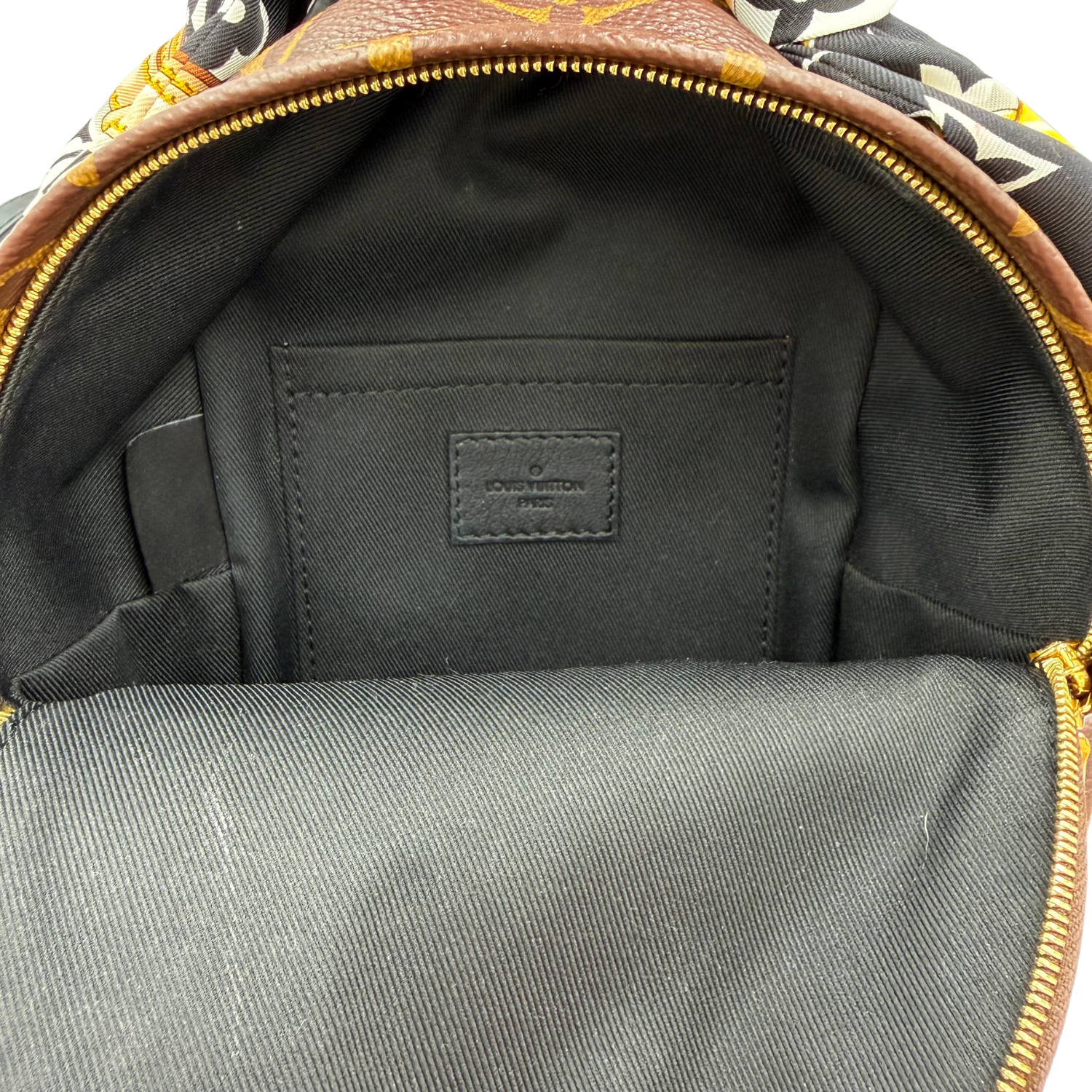 Louis Vuitton LV Monogram Palm Springs Mini with Bandeau Brown