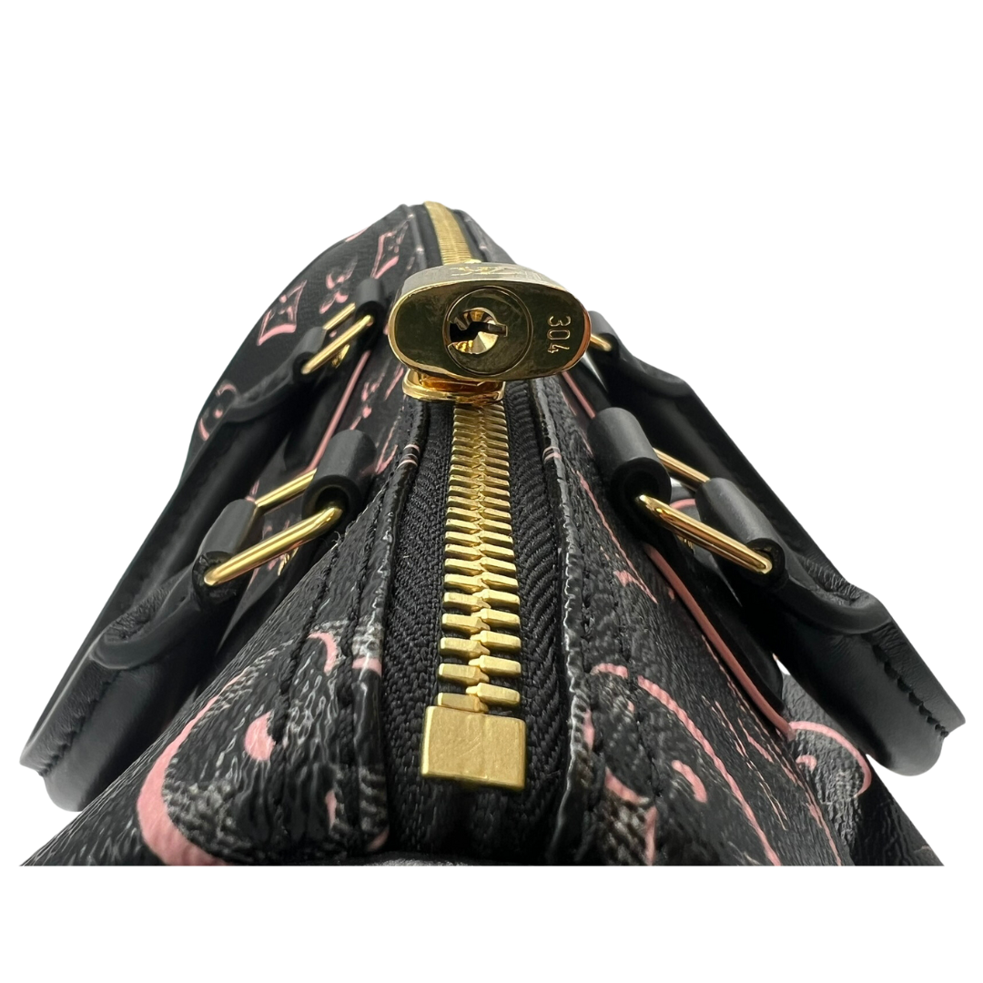LV Fall for You Speedy 25 Bandouliere