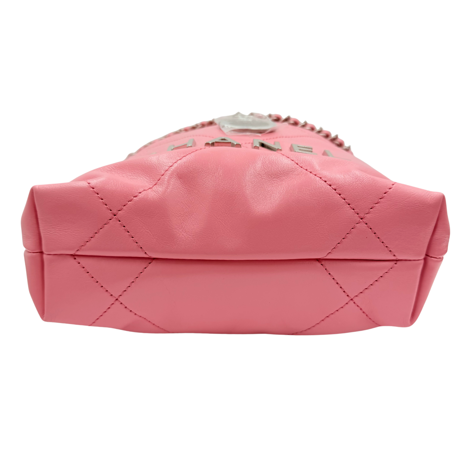 Chanel 22 Mini Hobo Bag Pink