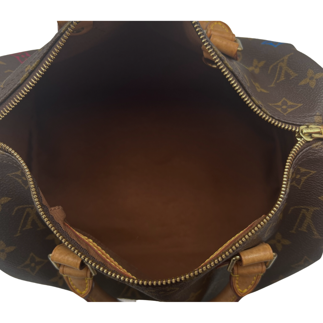 Louis Vuitton Speedy 30 Reworked