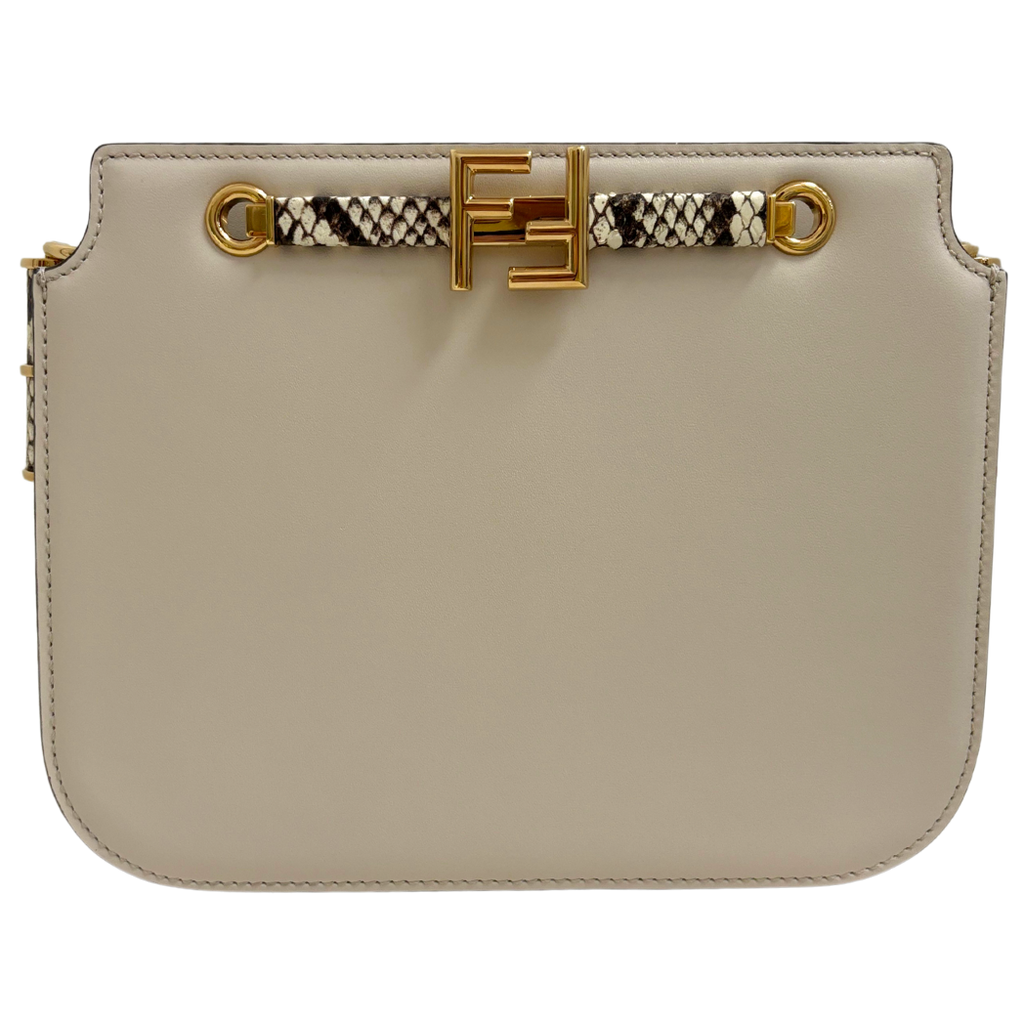 Fendi bag fashion transparent