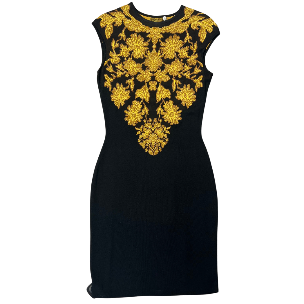 Alexander McQueen Dress