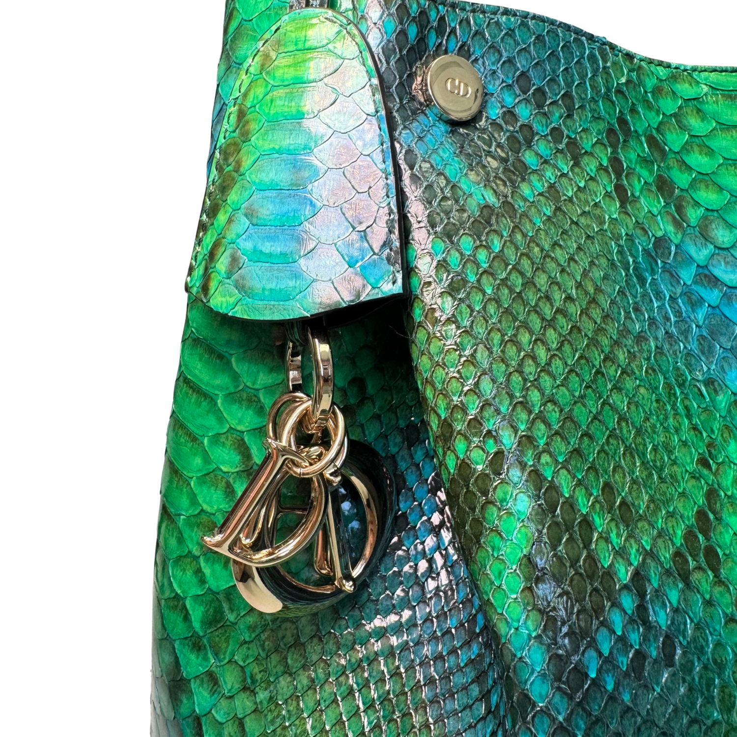 Christian Dior Python Diorific Bag