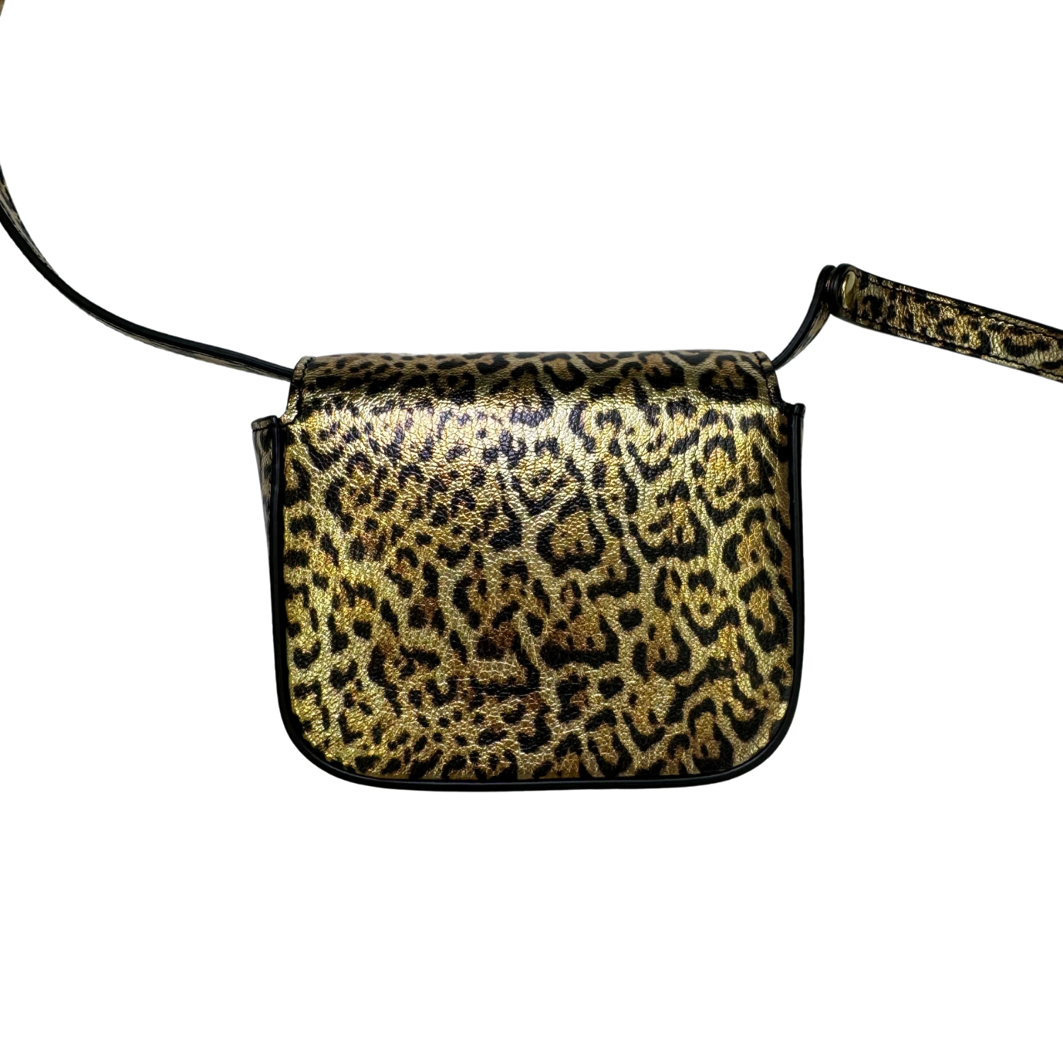 Celine Triomphe Bag Leopard Print