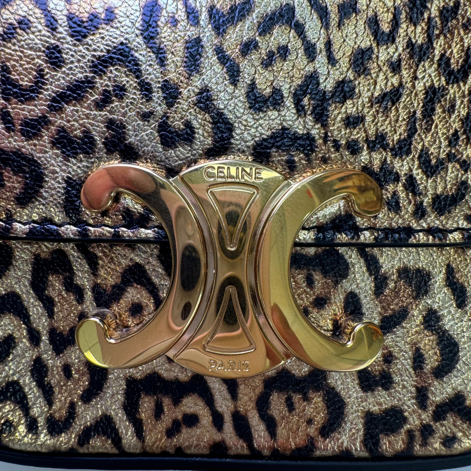 Celine Triomphe Bag Leopard Print