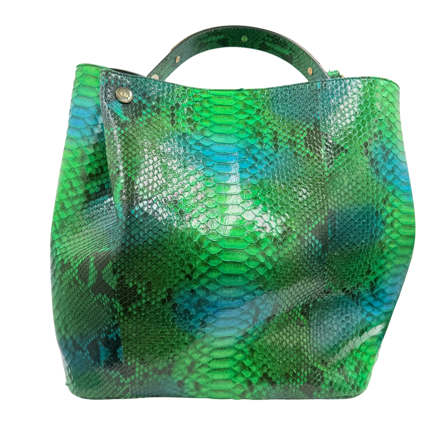 Medium Snakeskin Python Diorific Bucket Bag