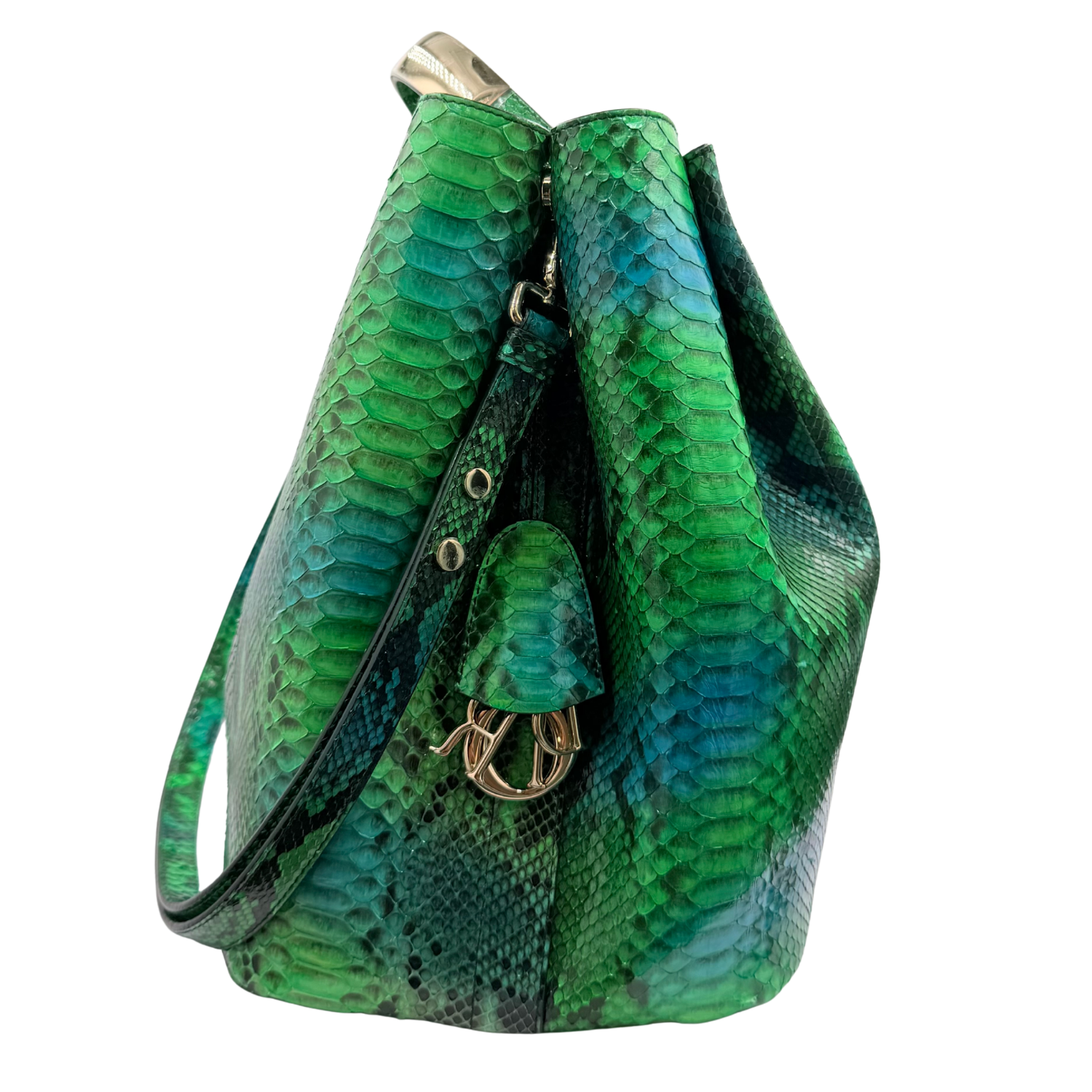 Medium Snakeskin Python Diorific Bucket Bag