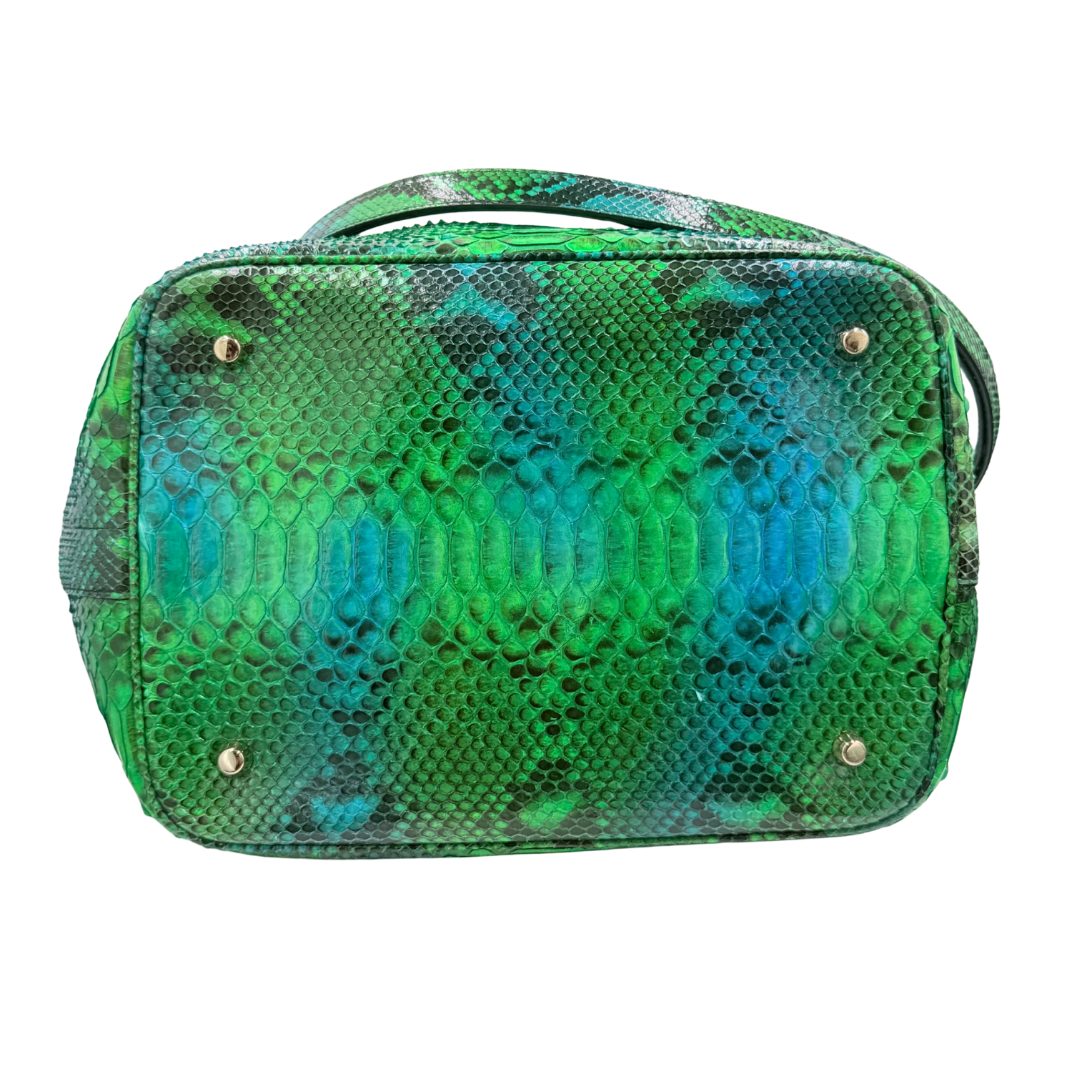 Medium Snakeskin Python Diorific Bucket Bag