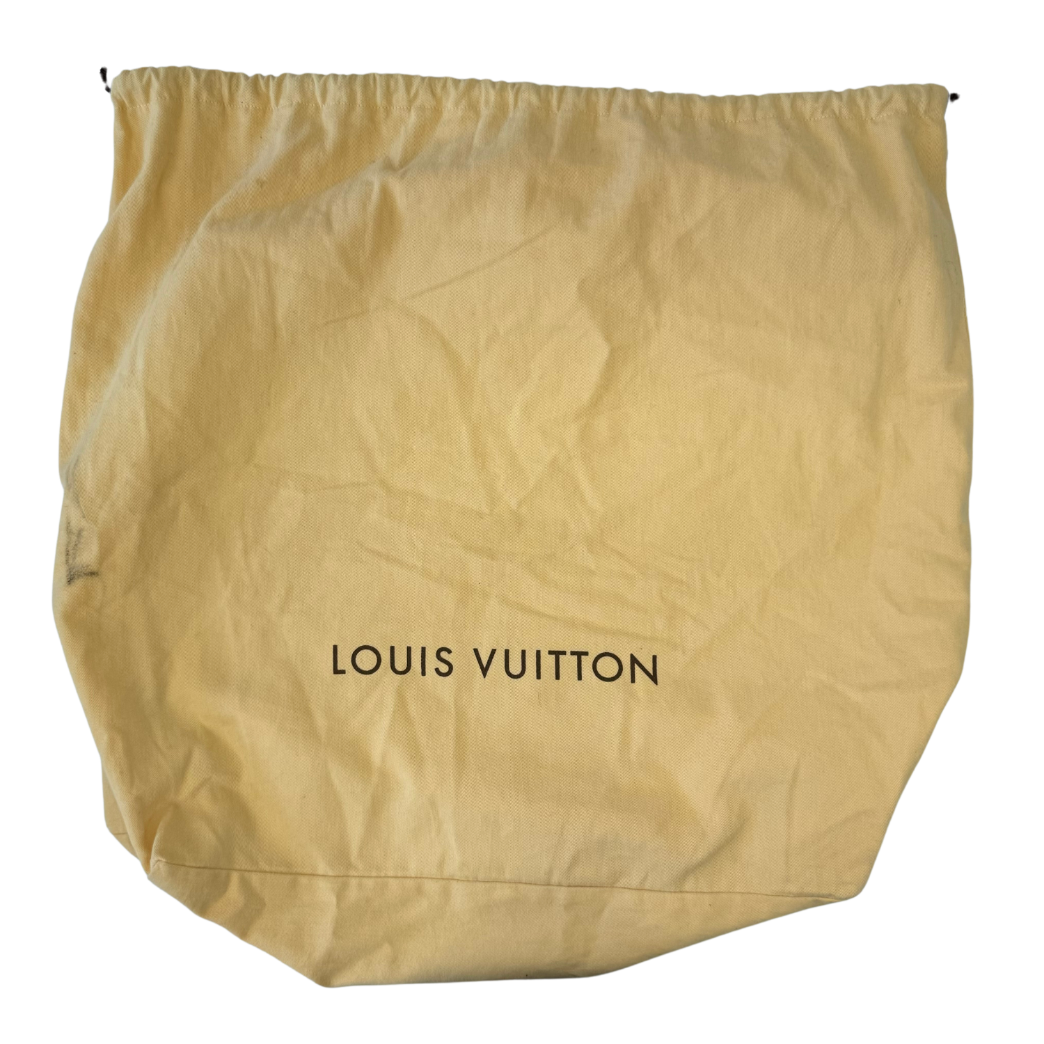 Louis Vuitton All-In Bandoulier