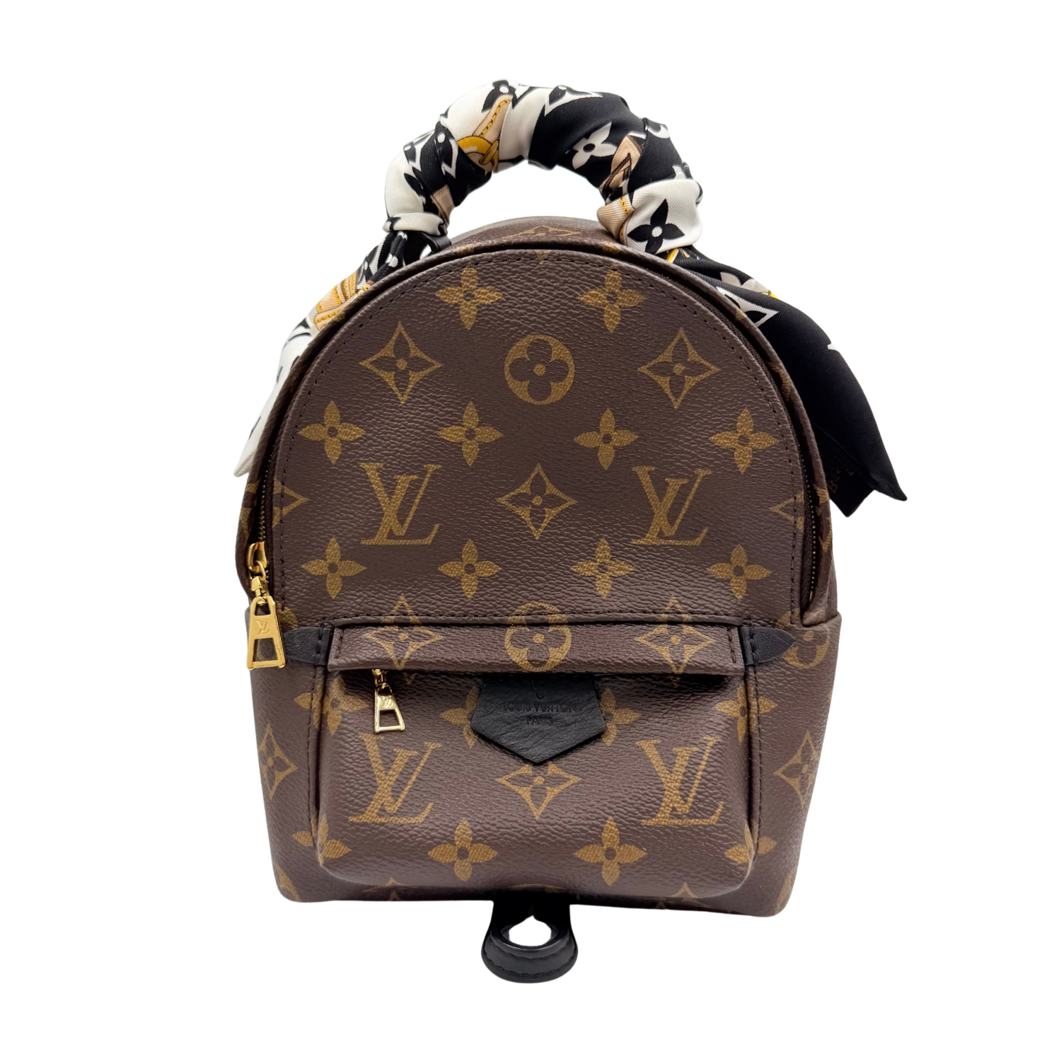 Louis Vuitton LV Monogram Palm Springs Mini with Bandeau Brown