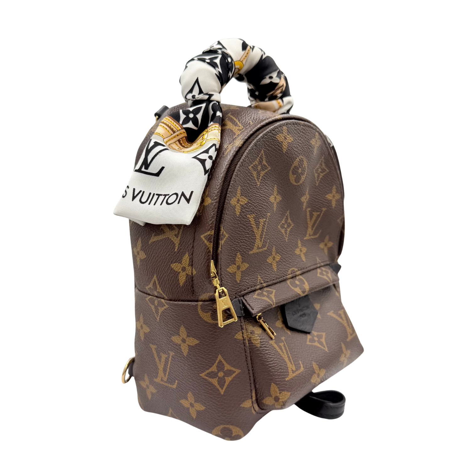 Louis Vuitton LV Monogram Palm Springs Mini with Bandeau Brown