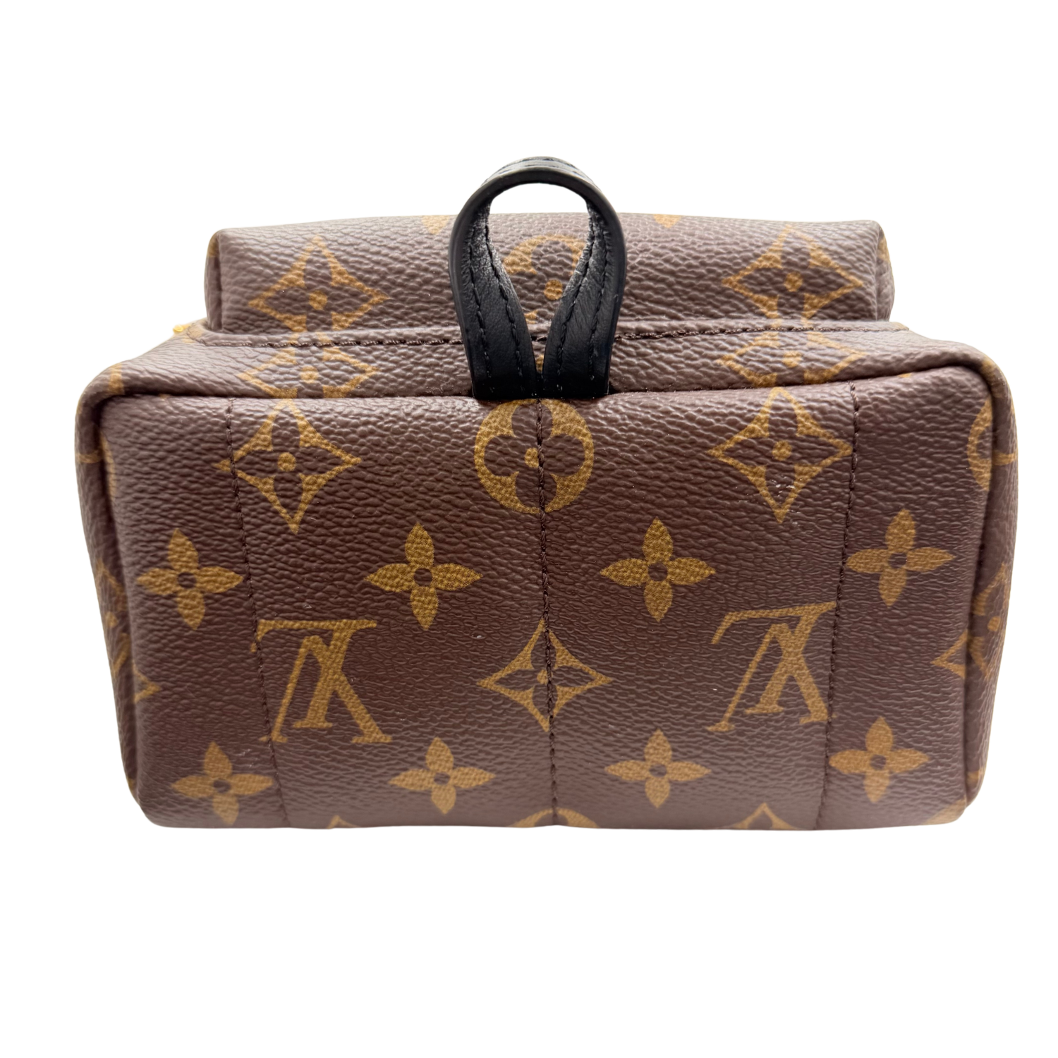 Louis Vuitton LV Monogram Palm Springs Mini with Bandeau Brown