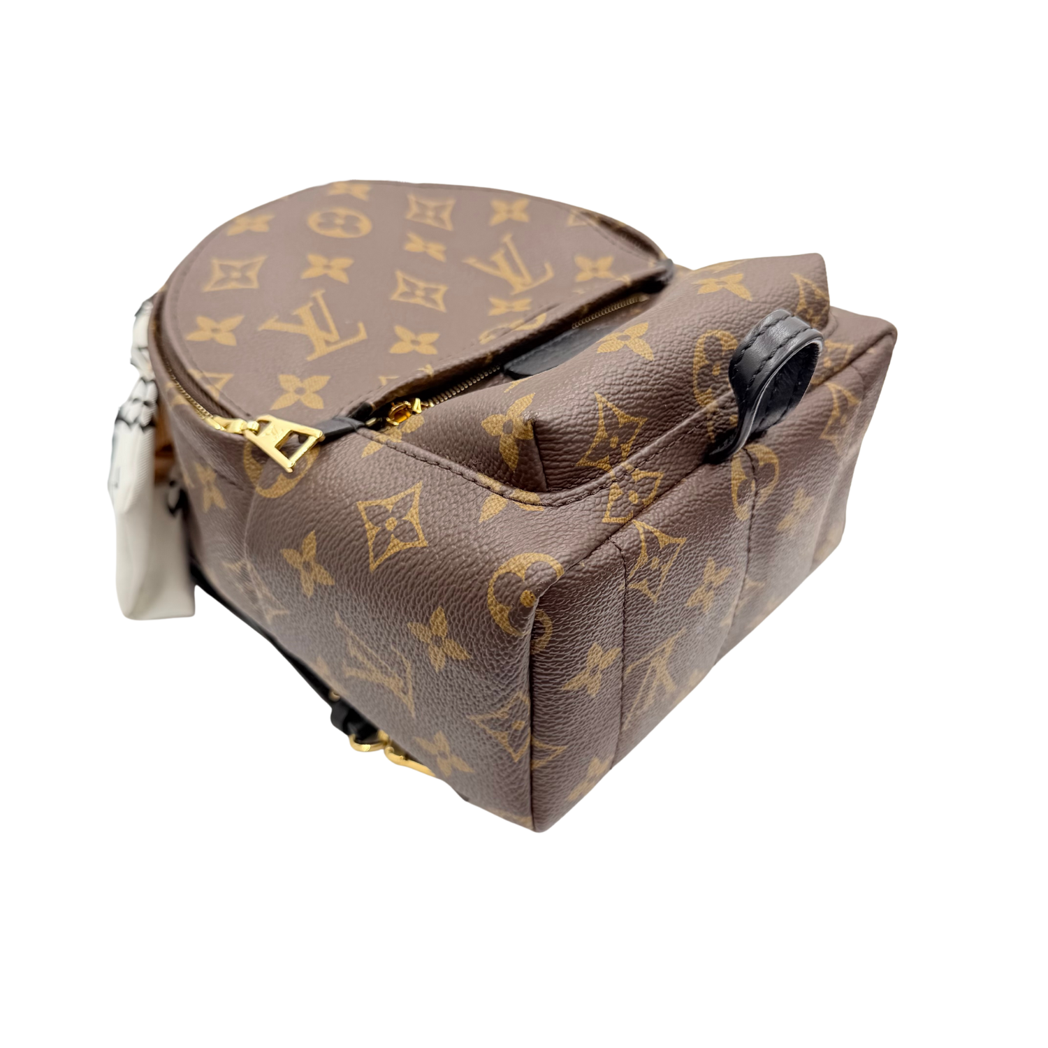 Louis Vuitton LV Monogram Palm Springs Mini with Bandeau Brown