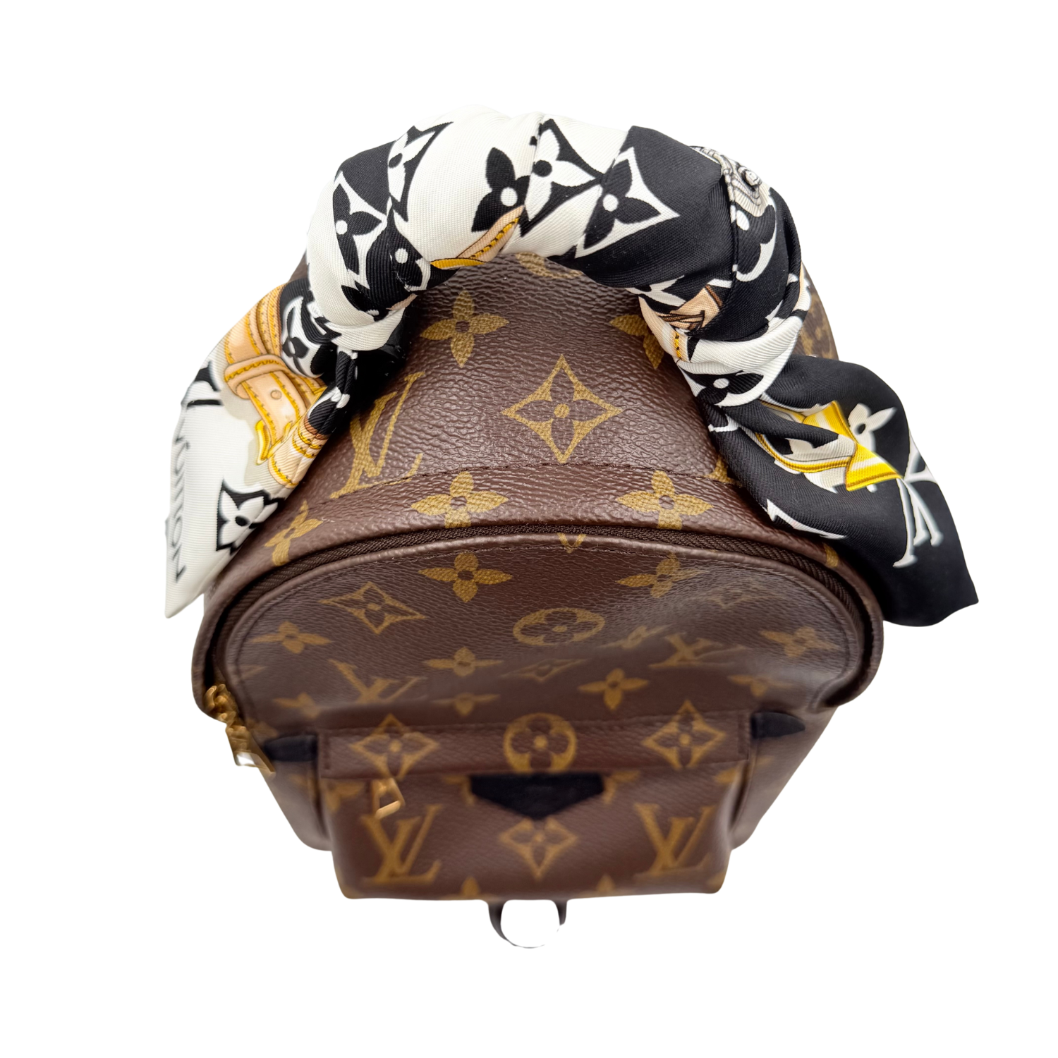 Louis Vuitton LV Monogram Palm Springs Mini with Bandeau Brown