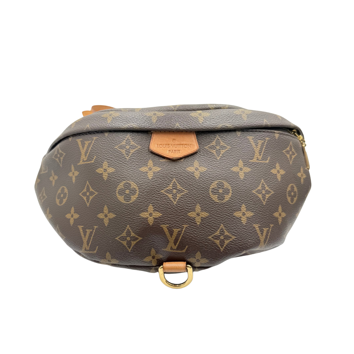 Louis Vuitton Large Adjustable LV Monogram Bumbag