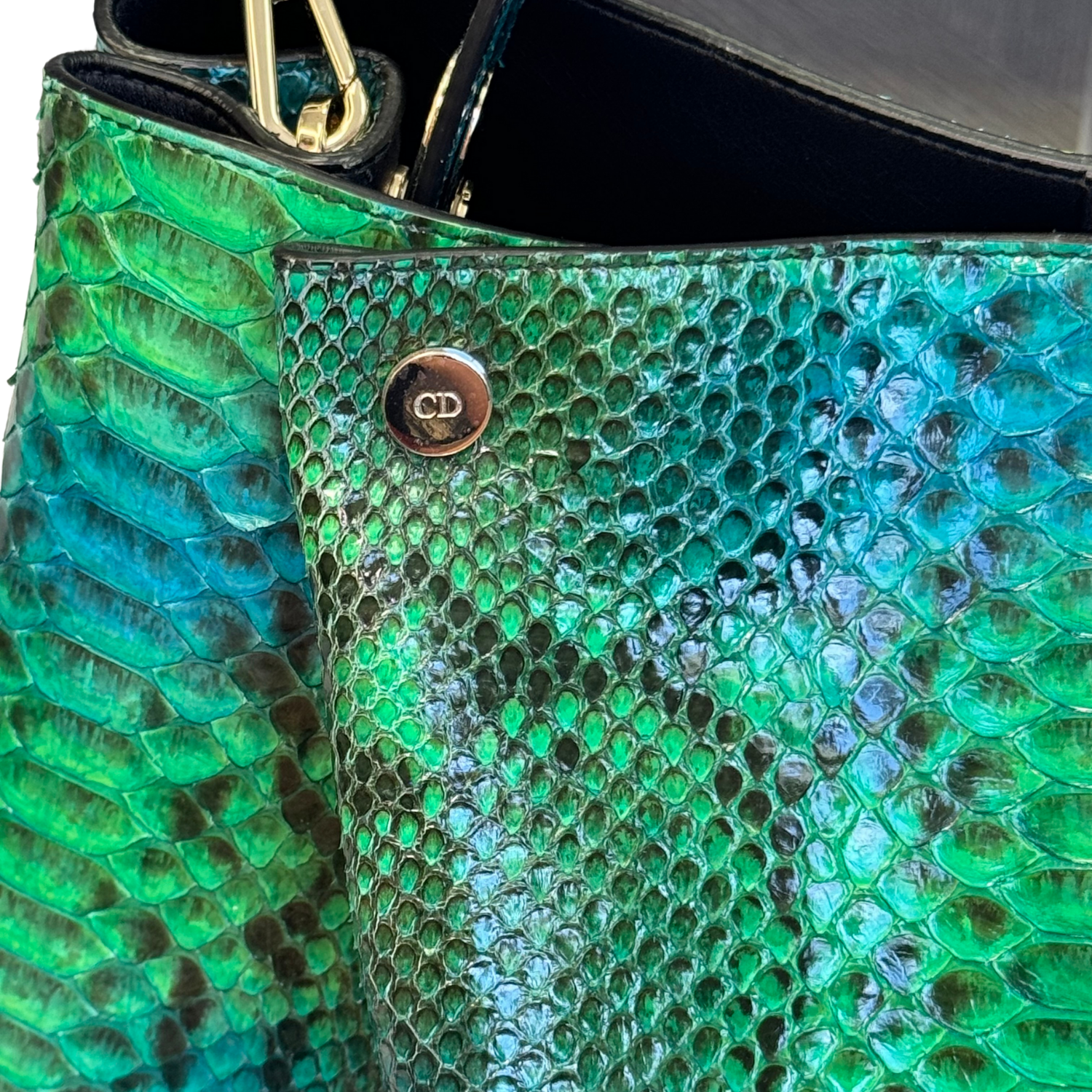 Christian Dior Python Diorific Bag